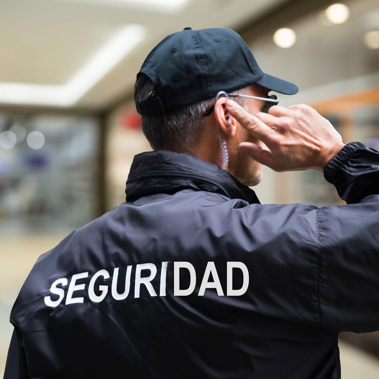 ceconsulting con la federación española de empresas de seguridad