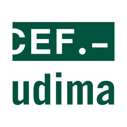 https://ceconsulting.es/wp-content/uploads/2026/09/cef.-udima.png